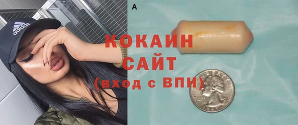 прущий лед Алзамай