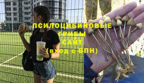 прущий лед Алзамай