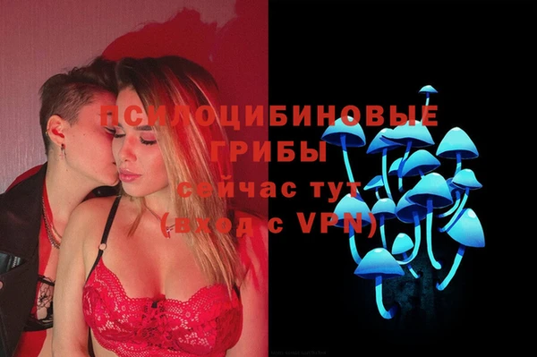 прущий лед Алзамай